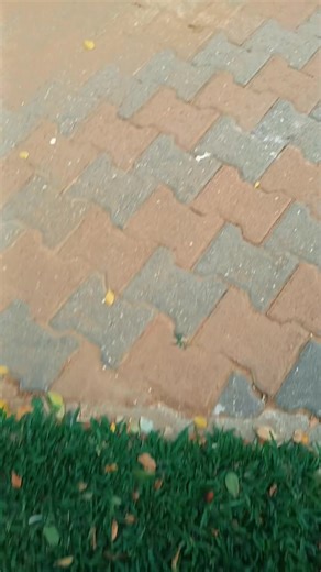 jst got home does anyone wanna come swim?