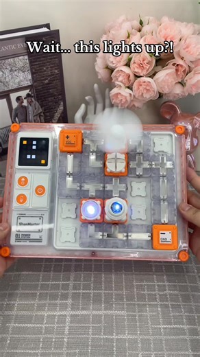 Discover the Fun of Circuit Maze Blocks for Kids