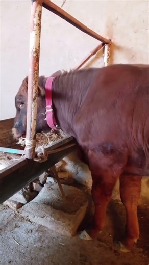 20 марта 2026 г.