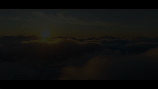 Total distribution v4