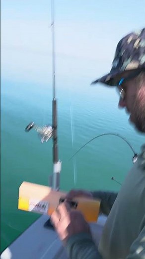 Salmon Trolling Lake Michigan with Weighted Steel #salmonfishing #lakemichiganfishing