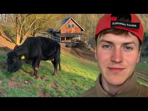 Life on a Small Farm: From Sowing Seeds to Caring for Cattle