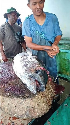 AMAZING BIG YELLOFIN TUNA CUTTING SKILLS BY BRO RAHMAN