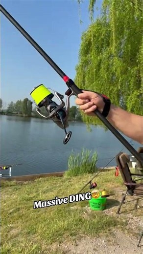 Massive DING 🤯🛎️ #casting #tuition #carp #shorts DDAWNG Fishing