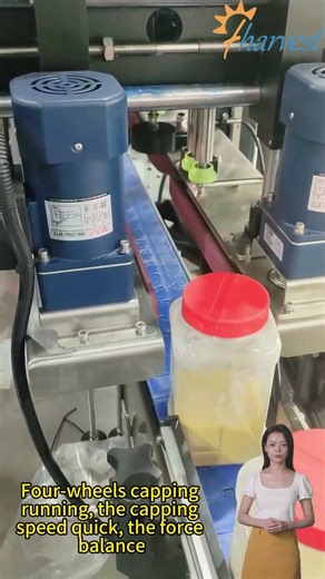Complete Automatic Packing Line for Millet, Beans & Seeds: Weighing, Filling, Capping & Labeling
