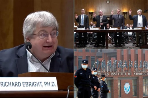 Scientific expert declares there is ‘zero’ evidence for natural COVID-19 origin