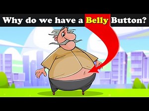 Why do we have a Belly Button? + more videos | #aumsum #kids #science #education #whatif