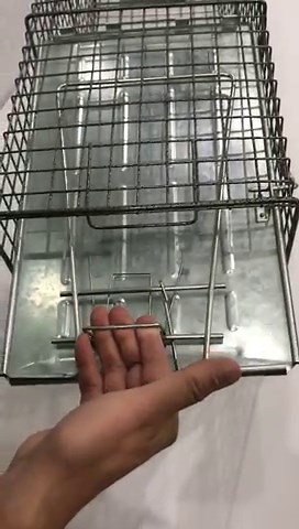 Watch Neocraft 40050 2 Piece Animal Trap on Amazon Live