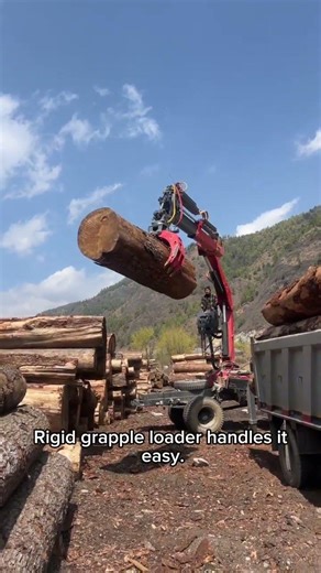 Lift Heavy Logs Easily – Custom Grapple Loader #forestryequipment #grapple #crane #telescopiccrane