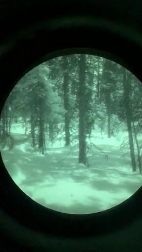 NIGHT VISION USING THEON NYX BINOCULAR