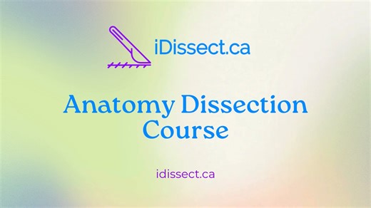 Anatomy Dissection Course - idissect.ca