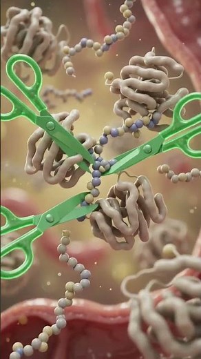 What Happens Inside Your Body When You Drink Soy Milk? 🥛🌱