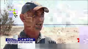 82K views · 188 reactions | Inskip Point Erosion: Holiday makers have witnessed a large slice of beach collapse into the ocean. www.7plus.com.au/news #7News | 7NEWS Brisbane | Facebook
