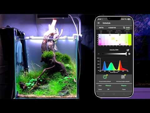 Nano aquarium for Danio margaritatus | Skylight Hyperbar FXS.15 SH + SL Control App