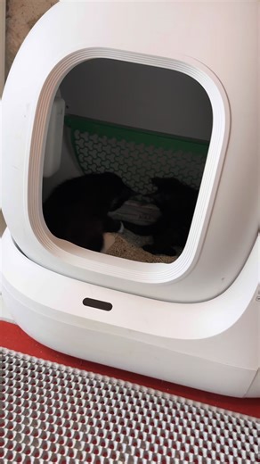 Litière automatique PETKIT PURAMAX pour chats