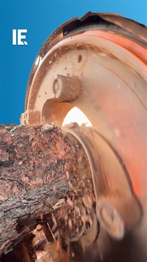 This incredible machine clears the bark off of an entire tree trunk. 🎥 ismet.arin / TT | Interesting Engineering