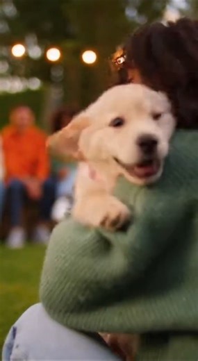 When Dogs Choose Their Humans -Adoption Moments