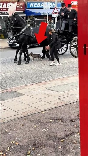 WHAT IS THE OWNER DOING? #shorts