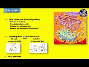 Grade 10 Biology, Chapter - 2, (Part 7)