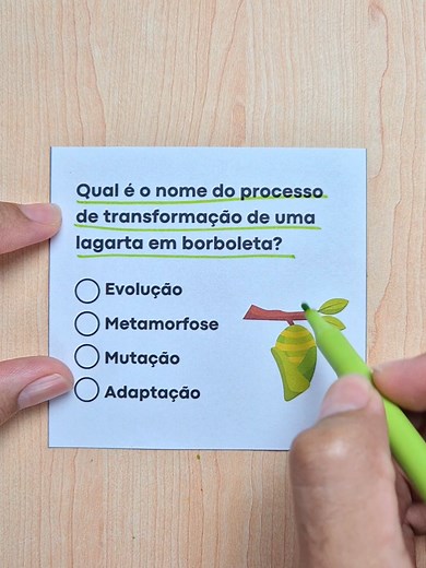 Transformação da lagarta em borboleta: qual o nome?