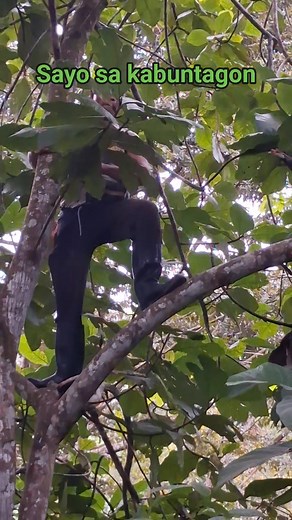 Ammon Misoles on Reels