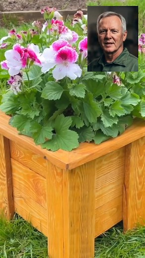 Macetero de jardin y interior #jardinera #madera #macetero #diy #ahorro #hagaloustedmismo #carpinteria #plantas #tips #madera #terciada #triplay #plywood #muebles #diy #tecnica #tips #tutorial #carpinteria | Hazlo En Madera