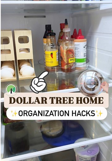 Unique Dollar Tree Organization Products You Need