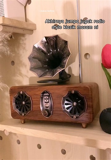 Classic Style Gramophone Speaker Radio Review