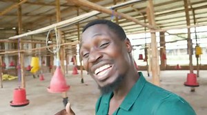 How - to- Build- a- MEGA - chicken- house - CHEAP- and - QUICK. | Farm Up