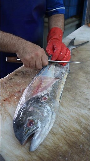 Watch: Professional Mahi-Mahi Cutting Step by Step