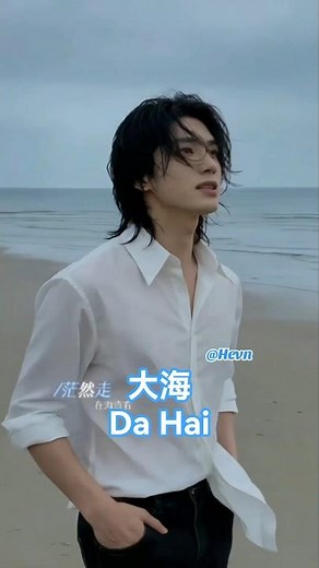 大海 (Da Hai) The Sea