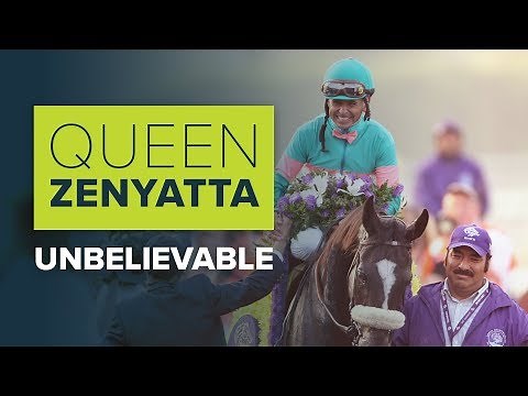 QUEEN ZENYATTA: UNBELIEVABLE | GREATEST RACEHORSE IN HISTORY