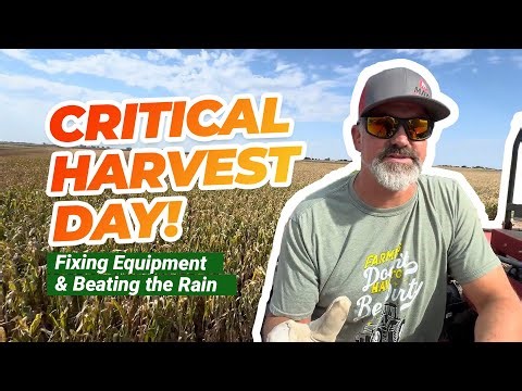 I have to finish this field before the rain or it will be lost!