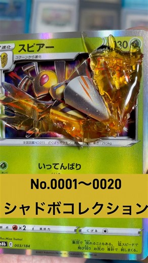 【ポケモン】No.0020までを立体化してコレクション！ #pokémon #pokemongo #シャドーボックス #ポケカ #ポケポケ #ポケモン図鑑 #ぽこあポケモン #コレクション