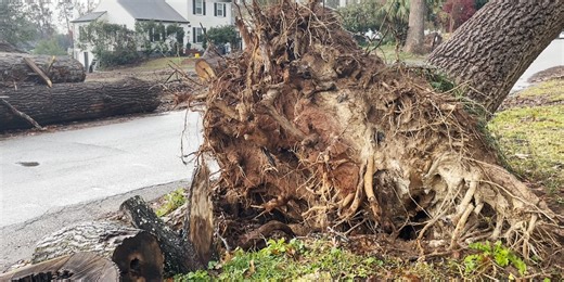 Disaster recovery, cleanup take a holiday break in the CSRA