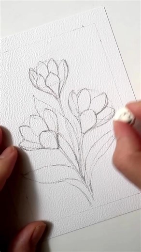 Crocus Flowers Sketch ✍🏼 In this quick study, I’m sketching a trio of crocus flowers using a very simple structure: an oval and a cone shape for the body of the flower. Once those two forms are in place, the petals almost build themselves. This is one of my favorite ways to approach drawing flowers, breaking them down into simple shapes first and letting the details come later. It makes the whole process feel much more intuitive and far less intimidating. Lately I’ve been experimenting with dif