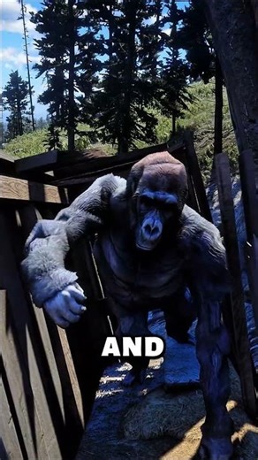 Strange Things You Can Find in RDR2