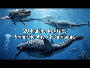 20 Marine Reptiles from the Age of Dinosaurs | Ancient Ocean Predators