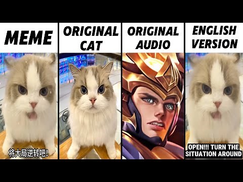 Chinese Cat Original vs Meme vs Original Audio vs English Version