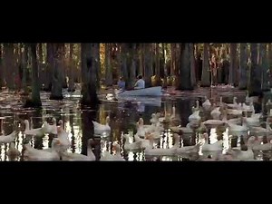 The Notebook (2004) | Swan Lake Scene