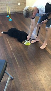 25K views · 89 reactions | When you’re torn between treat time and...