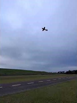 Flex Innovations 70cc Cap 232