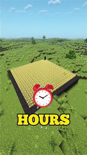 I Tested Wheat Growth In 1 Chunk For 1 Hour… The Result Is INSANE 🤯