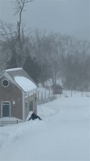 🤯 Wow, check this out in Bristol, Rhode Island, my follower sent this of her brother-in-law with over 30 inches of snow. That guy is over 6 feet! Video: Amanda Picerno | North Carolina's Weather Authority