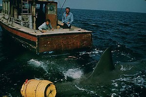 The Smallest Shark in the World Fits in the Palm of Your Hand - and Glows in the Dark
