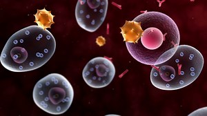 Mast Cells Releasing Histamines Allergen Stock Motion Graphics SBV-348988522 - Storyblocks