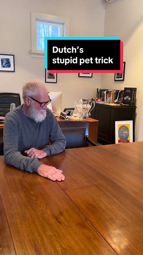 Hey @Sarah Silverman Dave’s dog Dutch wanted to show you his best #MyStupidPetTrick before your new show starts this weekend on TBS 🐾 What do you think? 👀 @David Letterman