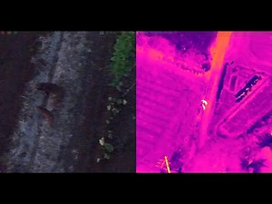【害獣ドローン対策】赤外線ドローンでイノシシ(猪)を追尾｜熊・シカ・野生動物の夜間監視と生息域調査 | NAPAドローンアカデミー