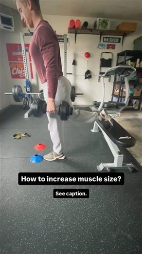 How to Increase Muscle Size