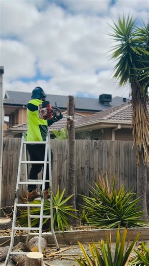 @shubylawnandgardens | Chopping down the yucca tree🌲✂️ Making difference 💪😍 Keep it clean & green 🌱🌱 Service with smile 😃 #LawnTransformation #BackyardBliss... | Instagram